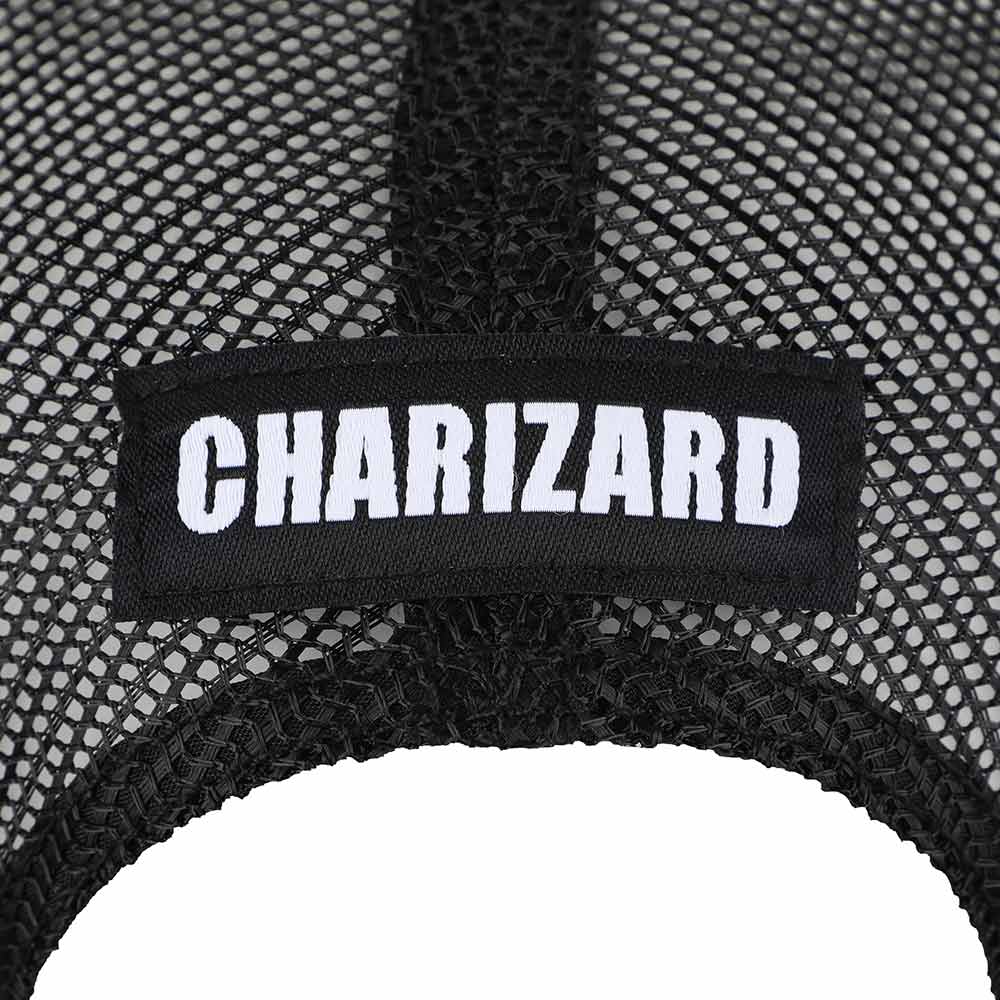 Pokemon | Charizard Patch Fire Type Trucker Hat