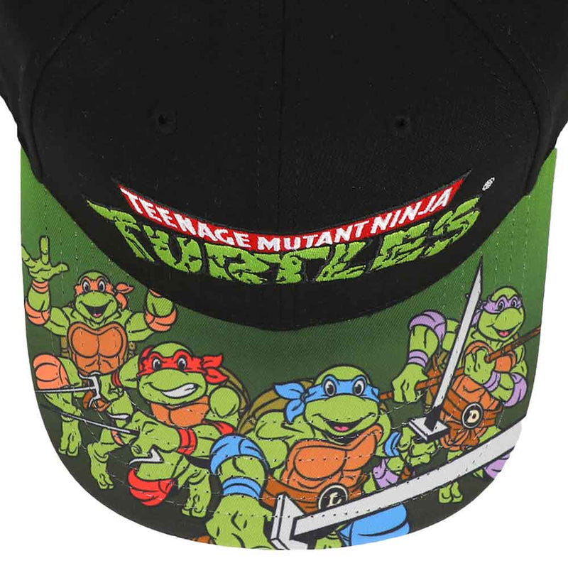 Teenage Mutant Ninja Turtles Classic Pre-Curved Bill Snapback Hat