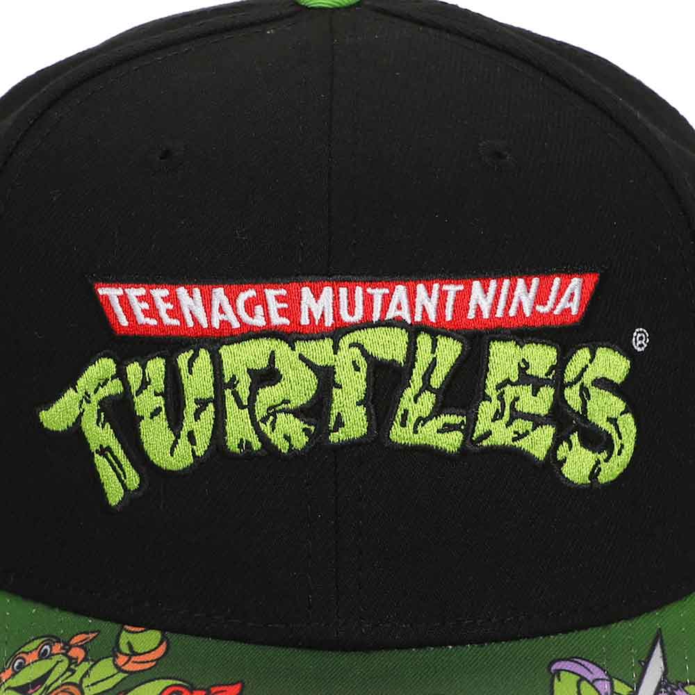 Teenage Mutant Ninja Turtles Boys Ball Cap, Youth Size (OSFM) 