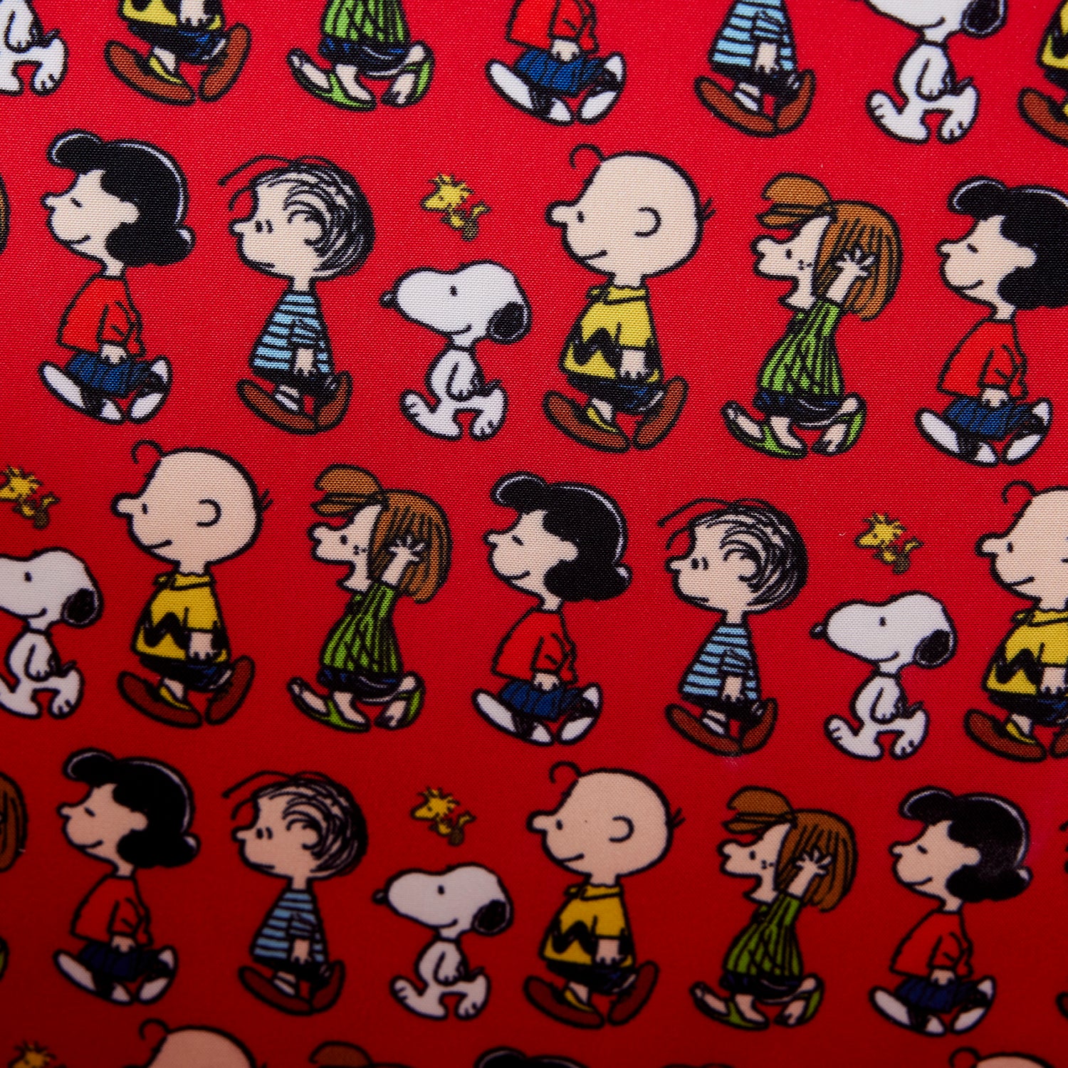 Peanuts | Charlie Brown Lunchbox Crossbody