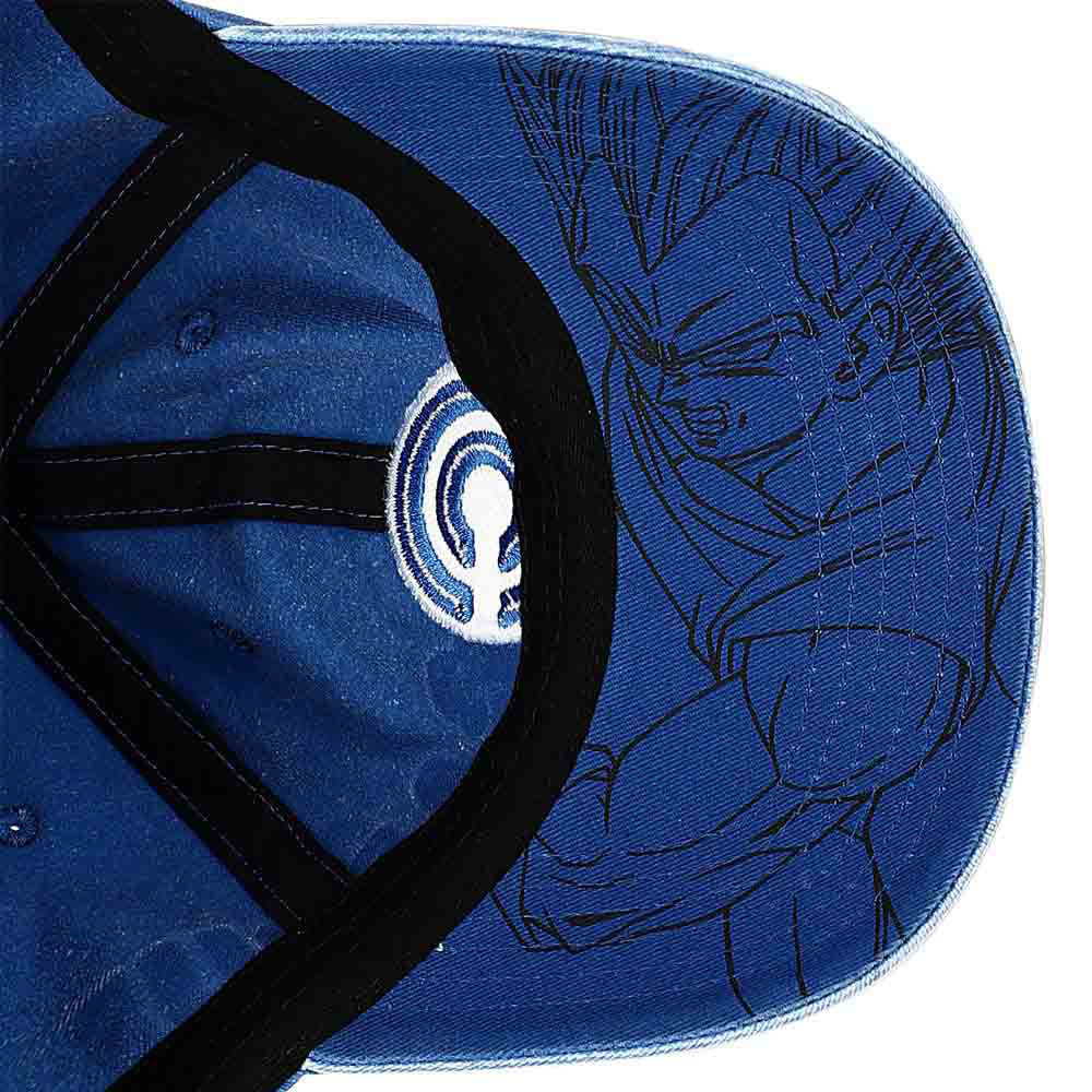 Dragon Ball Z | Capsule Corp Side Art Pigment Dyed Dad Hat